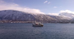 Фото тромсе, в порту норвегии, судно рыболовное.