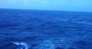 Фото открытого моря, с борта корабля.