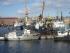 порт санкт-петербург, корабли, суда в порту, морские компании.